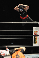 110528_NJPW-1.jpg